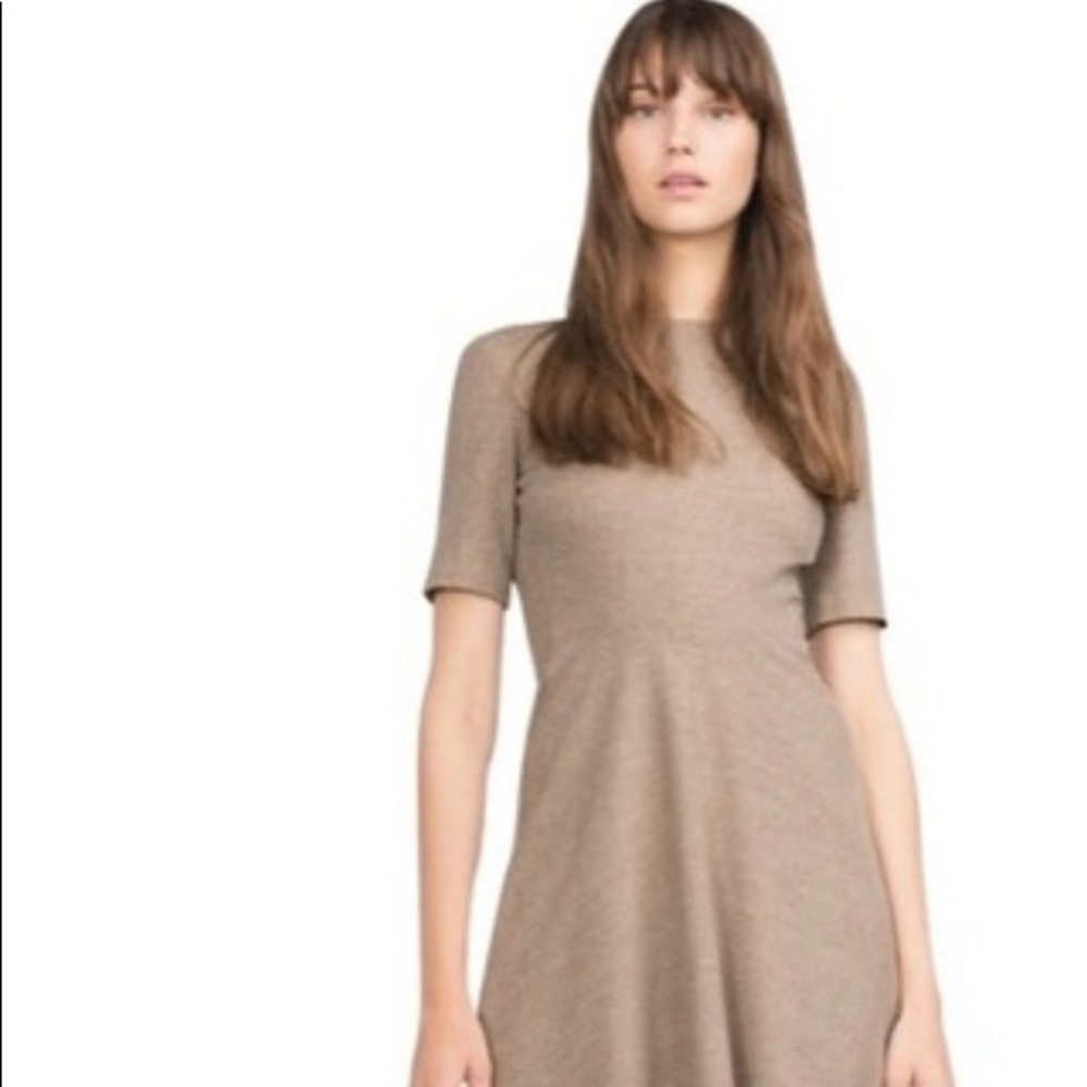 Zara tan shirt sleeve dress NWT